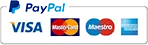 pay icon